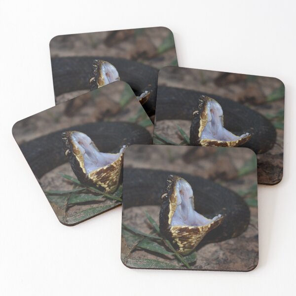 Item preview, Northern Cottonmouth Gaping Print designed and sold by Paul-Prints.