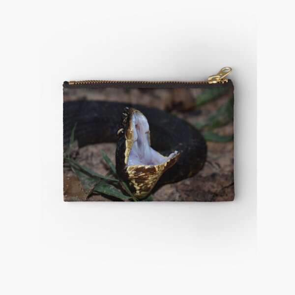 Item preview, Northern Cottonmouth Gaping Print designed and sold by Paul-Prints.