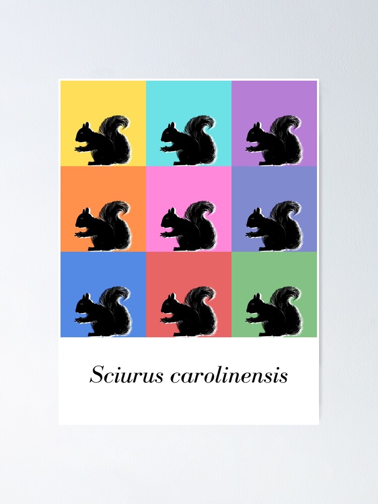 "Warhol-inspired Squirrel (scientific name)" Poster for Sale by