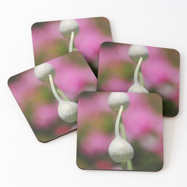 Item preview, Two Garlic Heads Over Rose  designed and sold by Joy Watson - Natural Light Photography .