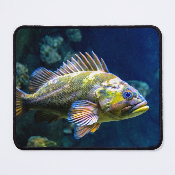 Grumpy Rockfish Mouse Pad