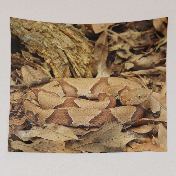 Item preview, Eastern Copperhead in Ambush Print designed and sold by Paul-Prints.