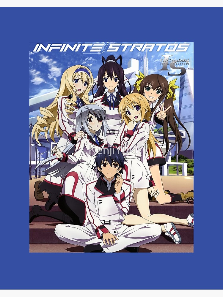 Infinite Stratos 1 Art Board Print for Sale by Dylan5341