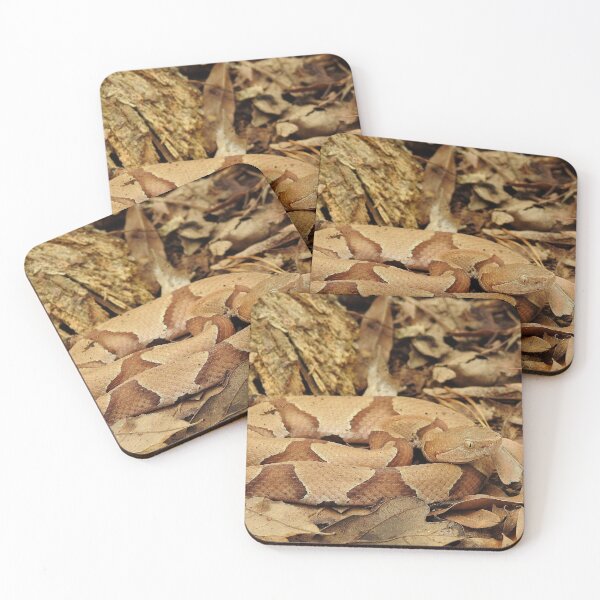 Item preview, Eastern Copperhead in Ambush Print designed and sold by Paul-Prints.