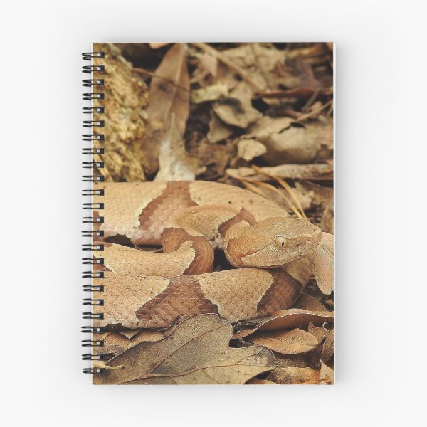 Item preview, Eastern Copperhead in Ambush Print designed and sold by Paul-Prints.
