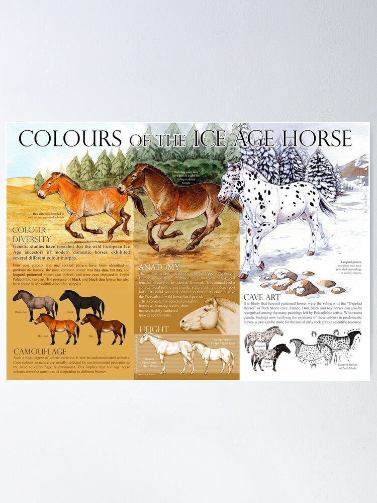 Alternate view of Colours of the Ice Age Horse Poster