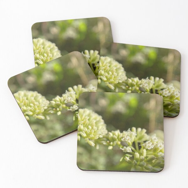 Item preview, Small Budding White Flowers designed and sold by Sinemathk.