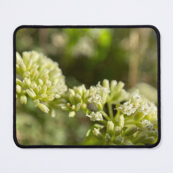 Item preview, Small Budding White Flowers designed and sold by Sinemathk.