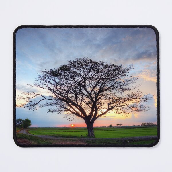 Item preview, Beautiful Tree in the Rice at Sunset. designed and sold by Huskyyy Designs.