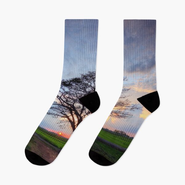 Item preview, Beautiful Tree in the Rice at Sunset. designed and sold by Huskyyy Designs.
