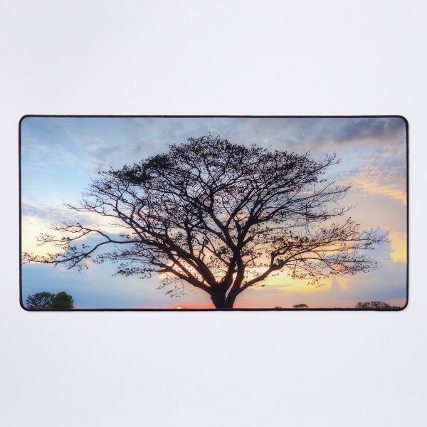 Item preview, Beautiful Tree in the Rice at Sunset. designed and sold by Huskyyy Designs.