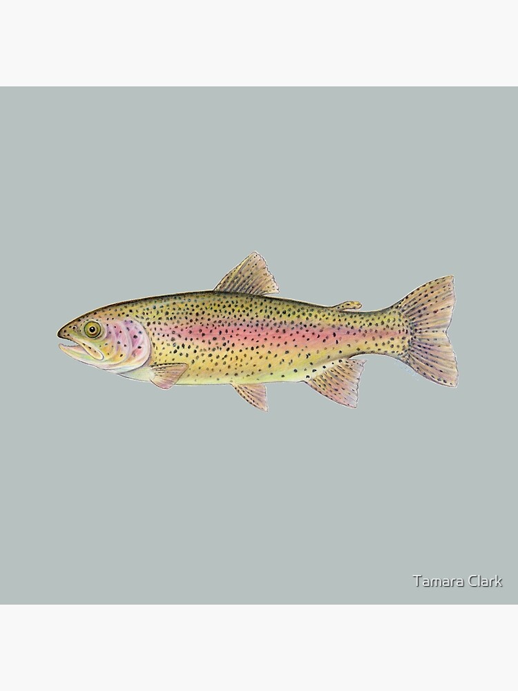 Rainbow Trout (Oncorhynchus mykiss) | Tote Bag
