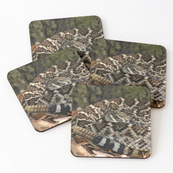 Item preview, Western Diamondback Rattlesnake Print designed and sold by Paul-Prints.