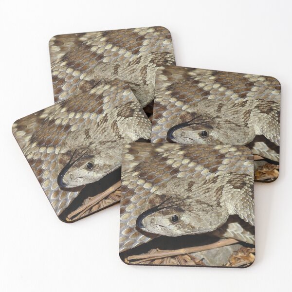 Item preview, Mojave Rattlesnake Print designed and sold by Paul-Prints.