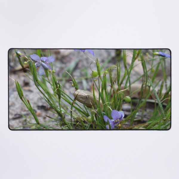 Item preview, Eastern Copperhead in Flowers Print designed and sold by Paul-Prints.