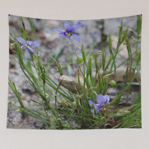 Item preview, Eastern Copperhead in Flowers Print designed and sold by Paul-Prints.