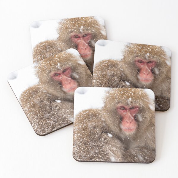 Item preview, Snow Monkeys in Japan Close Up designed and sold by neilcooperphoto.