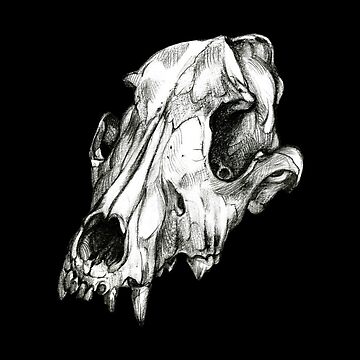 Artwork thumbnail, Canine Skull by Pip Tacla