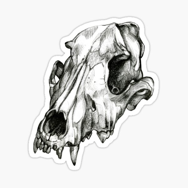 Canine Skull Sticker