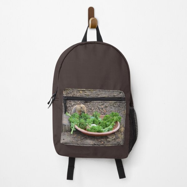 Item preview, Prairie Dog Eating Salad designed and sold by thelemmingface.
