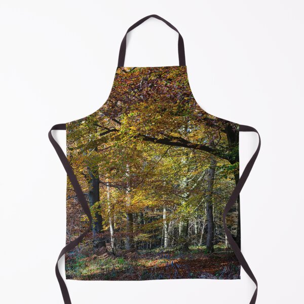 Item preview, Autumnal woodland designed and sold by Dave Hare Photography.