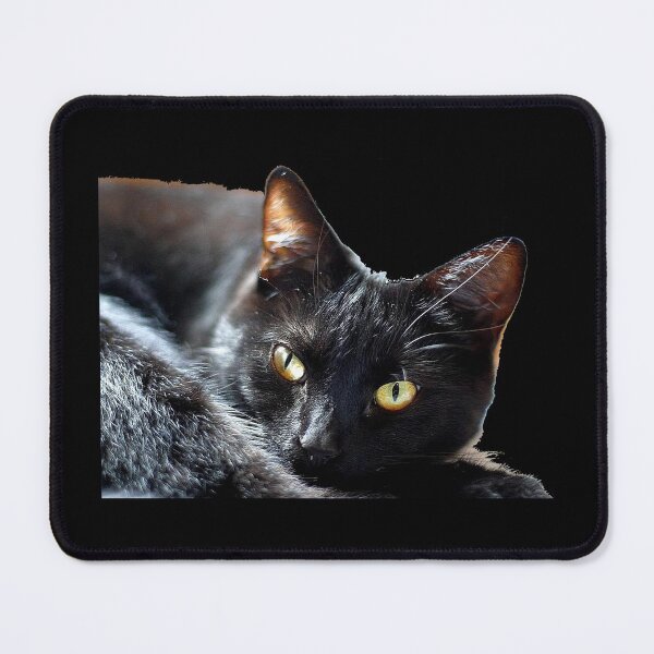 Item preview, Sweet Black Cat designed and sold by roasted-peanuts.