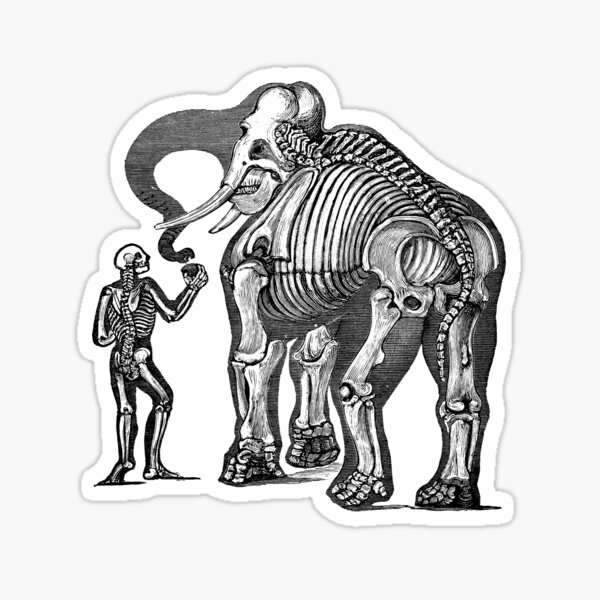 Elefantenskelett Sticker