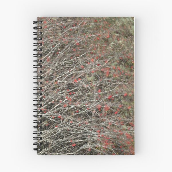Item preview, Rowan berries in a strong breeze, Loch Maree designed and sold by ccullen222.
