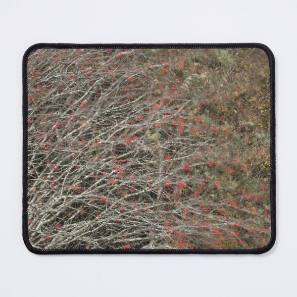 Item preview, Rowan berries in a strong breeze, Loch Maree designed and sold by ccullen222.