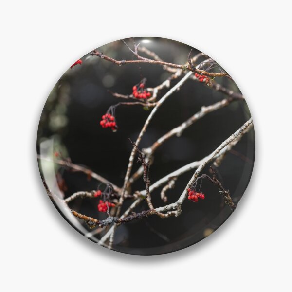 Item preview, Rowan berries in the morning light, over the dark waters of the River Affric designed and sold by ccullen222.