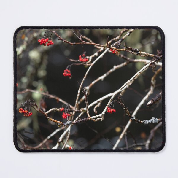 Item preview, Rowan berries in the morning light, over the dark waters of the River Affric designed and sold by ccullen222.