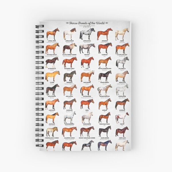 Aperçu de l'œuvre Races de chevaux du monde créée et vendue par Evelynsouza.