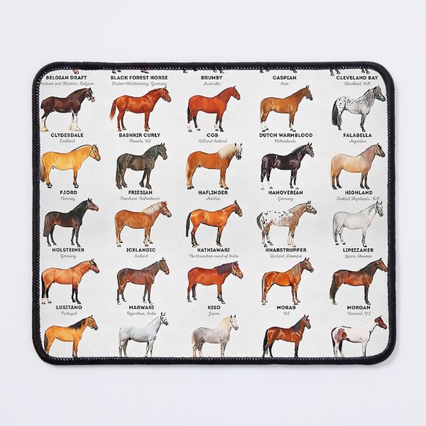 Aperçu de l'œuvre Races de chevaux du monde créée et vendue par Evelynsouza.
