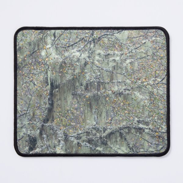 Item preview, Glen Affric misty morning designed and sold by ccullen222.