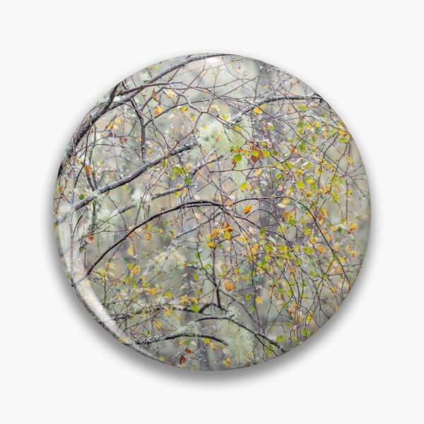 Item preview, Misty Glen Affric in autumn designed and sold by ccullen222.
