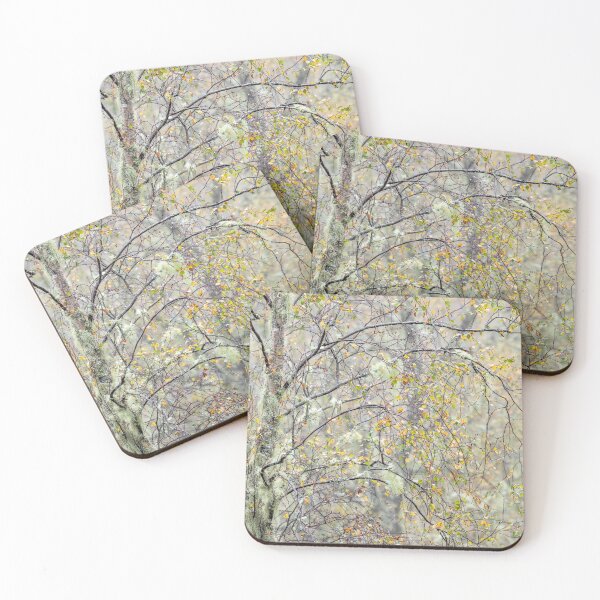 Item preview, Misty Glen Affric in autumn designed and sold by ccullen222.