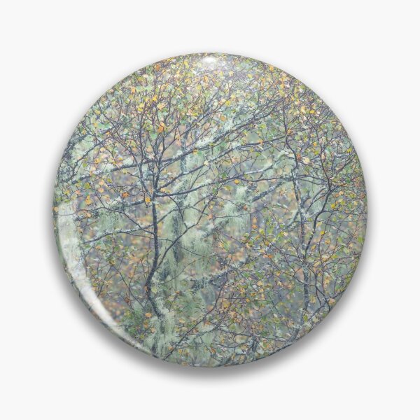 Item preview, Glen Affric in autumn  designed and sold by ccullen222.