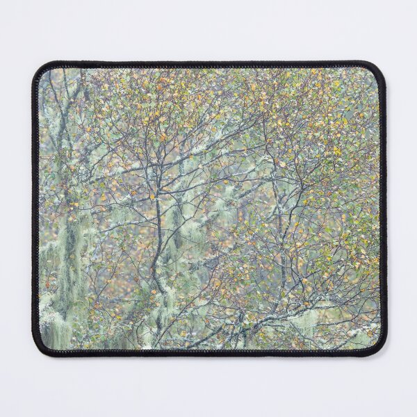 Item preview, Glen Affric in autumn  designed and sold by ccullen222.