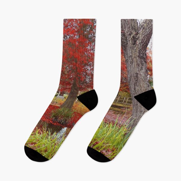 Item preview, A beautiful Garden Pond in Autumn designed and sold by simonhiscoxart.