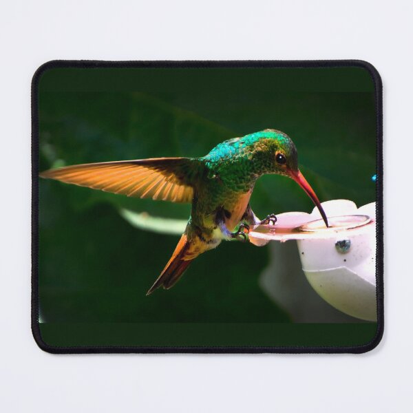 Item preview, My Buddy Tom Thumb Loves Nectar designed and sold by alabca.