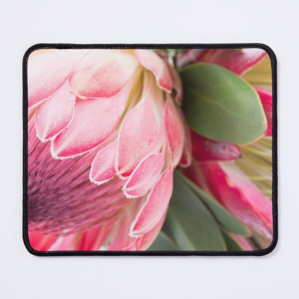 Item preview, Fynbos Botanical Collection 2 designed and sold by halimabeale.