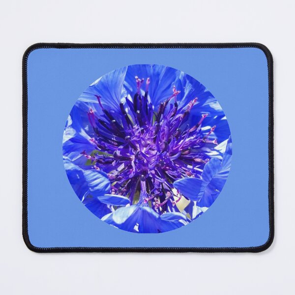 Item preview, Cornflower designed and sold by amanda150771.