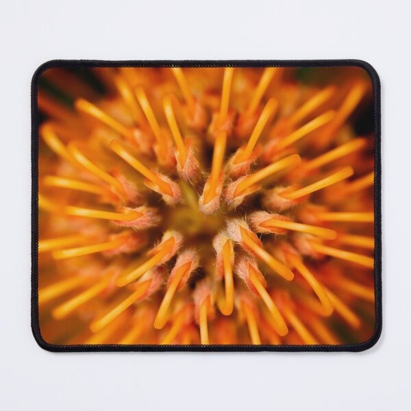 Item preview, Fynbos Fireworks designed and sold by halimabeale.