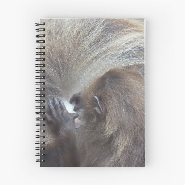 Item preview, Searching for Nits designed and sold by Sandra Willis.