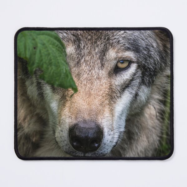Item preview, Timber Wolf designed and sold by Michael Cummings.
