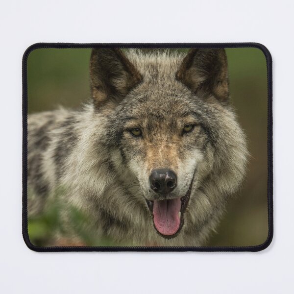 Item preview, Timber Wolf designed and sold by Michael Cummings.