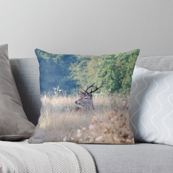 Item preview, Fawn awake. designed and sold by DMHotchin.