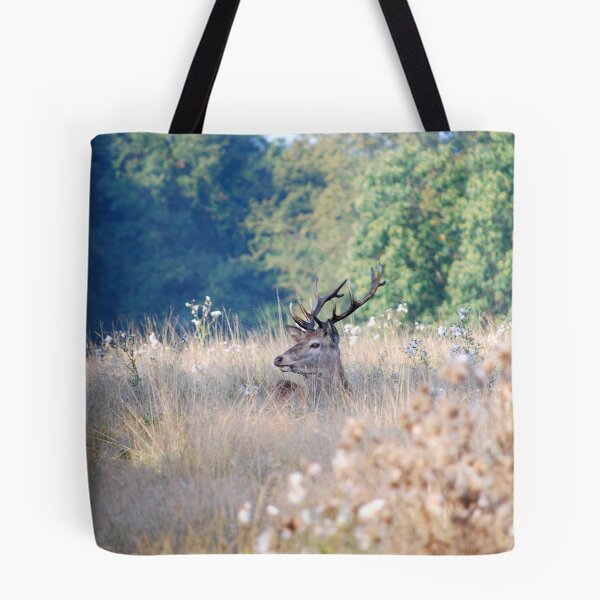 Item preview, Fawn awake. designed and sold by DMHotchin.