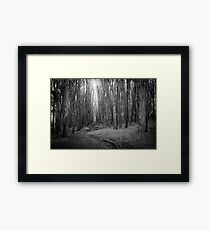 Wood Line Framed Print