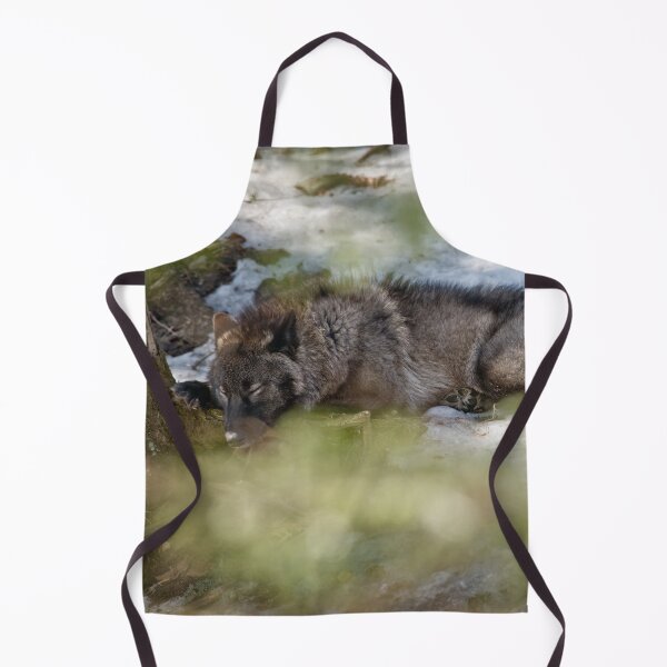 Item preview, Sleeping Black wolf designed and sold by Michael Cummings.